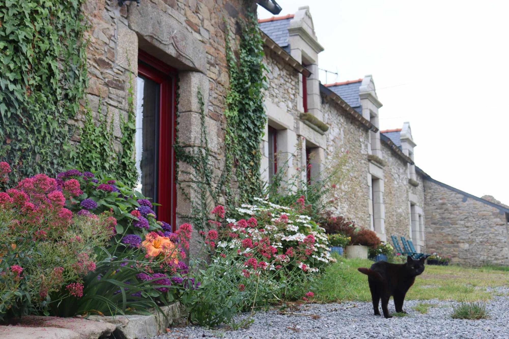 Bed & Breakfast La Petite Berais Missillac